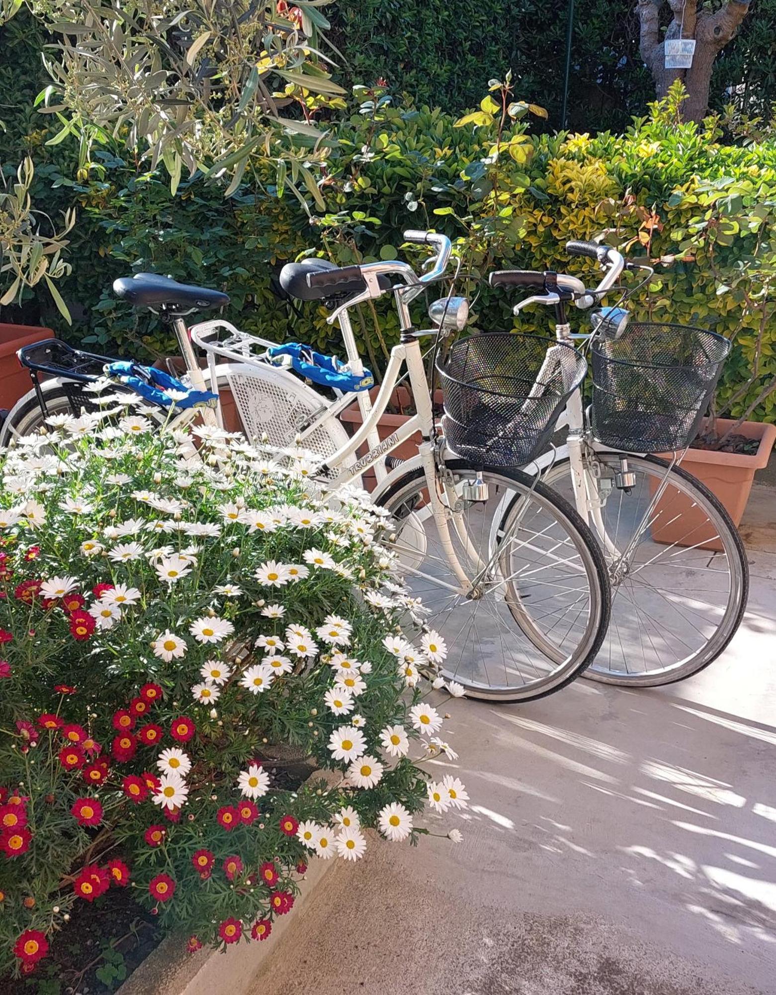 Casa Del Sole Apartments With Garden Marina Di Pisa Exterior photo